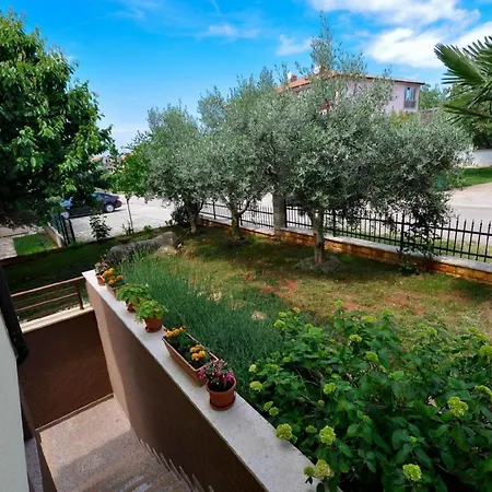 Fuer 2 Personen 35 M2 In Novigrad, Istrien Daire Karpinjan